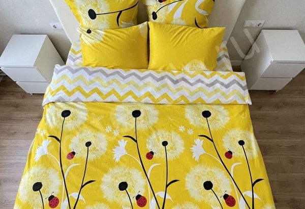 Постельное белье фланель, ДУЭТ (под.150х210-2 шт,пр.240х260,нав.70х70-2 шт) "Одуванчик"